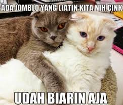 Berikut cara download stiker whatsapp ucapan lebaran idul fitri 2021. 25 Meme Kucing Yang Imut Ngegemesin Dan Bikin Ketawa