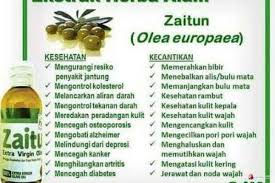 Maybe you would like to learn more about one of these? 12 Manfaat Zaitun Untuk Kecantikan Satu Diantaranya Mengatasi Jerawat Terkininews Com