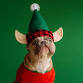 Carols at Foxrush — S.A.R.A. event image