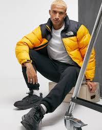 Pin By Cesar N On Polo North Face Jacket Mens North Face Outfits North Face Jacket Outfit