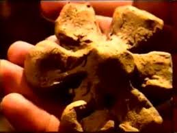 Maybe you would like to learn more about one of these? Radio 1 Manele Cea Mai Tare Melodie Sarbeasca Facebook