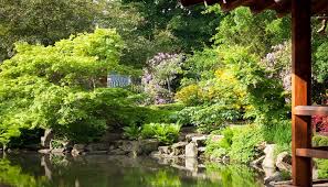 Prachtiger Japanischer Garten Mit Vielen Pflanzen Und Grosser Wasserflache Japanischer Garten Gartengestaltung Pflanzideen