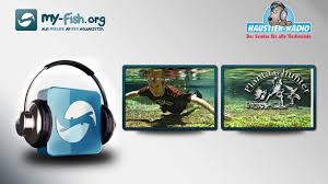 Posts tagged 'nur' nur episod 2. Podcast Episode 13 Der Plantahunter Pflanzenspezialist Und Entdecker Stefan Hummel My Fish Aus Freude An Der Aquaristik
