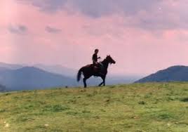 This package from blue ridge mountain trail rides works for anyone, but can be especially appreciated by those new to horseback riding. Mountaintop Ranch Wilderness Horseback Trail Rides Trail Riding Horseback Virginia Is For Lovers