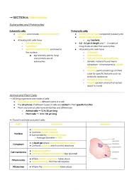 Maybe you would like to learn more about one of these? Gcse Biology For Aqa Grade 9 1 Biology Higher Gcse Aqa Thinkswap
