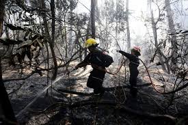 Hoy es el día nacional del bombero voluntario, un oficio que rara vez es tenido en cuenta. Dia Nacional Del Bombero Voluntario Cuantos Hay En El Pais Y Como Se Puede Colaborar Con Los Cuarteles La Nacion
