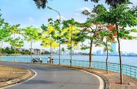 Con đường ven Hồ Tây lộng gió