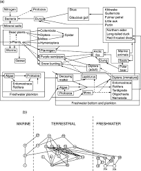 Terrestrial (land) and freshwater food web. Detrital Food Web An Overview Sciencedirect Topics