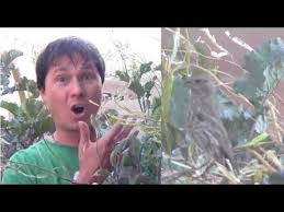 We did not find results for: Simple Way To Protect Vegetables In Your Garden From Birds Youtube