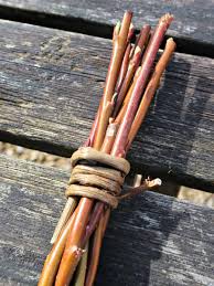We did not find results for: Introducing The Willow Wand Living Art For Your Garden Craft Invaders
