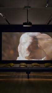 Bildergebnis für Saodat Ismailova