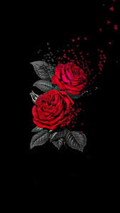 Dark Red Rose Wallpaper Phone Dark Red Wallpaper Rose Wallpaper Dark Red Roses
