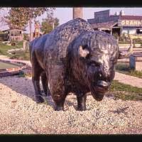 It was an opportunity for existing producers to learn about different. Indian Brave Gold Rush Golf Ocean City Maryland Picryl Public Domain Search