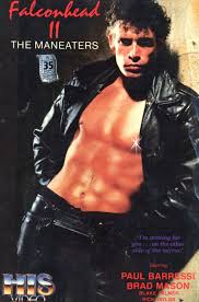 VHS cover art – bjs gay porno-crazed ramblings