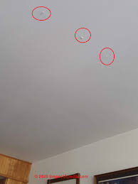 Some of these holes are used as escape routes by flying termites for their first flight out of the nest. Drywall Nail Pops Cracks Complete Catalog Of Causes Cures Prevention Of Drywall Nail Or Screw Pops