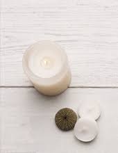 Obituary information for Carol A. Hickman