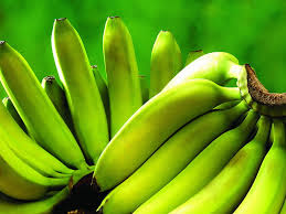 We did not find results for: Wallpaper Pisang Hd Unduh Gratis Wallpaperbetter