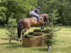 Auf vorschlag des ausschuss vielseitigkeit des deutschen olympiade komitees für reiterei (dokr) und mit zustimmung des dosb sind folgende paare in die kader berufen worden. Die 35 Besten Ideen Zu Vielseitigkeit Eventing In 2021 Reitsport Vielseitigkeit Reiten