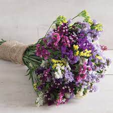 Pin On Flower Seeds