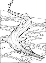 49 Best Of Shark Coloring Pages Shark Coloring Pages Coloring Pages Toy Story Coloring Pages