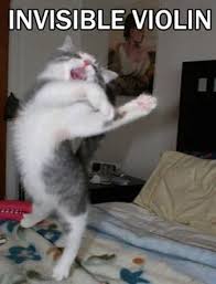 Cat Playing The Worlds Smallest Violin Funny Cat Pictures Cat Violin Cute Animals