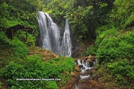 Air terjun tirto gumarang terdiri dari dua terjunan air yang berdampingan, sehingga masyarakat sekitar juga menyebutnya air terjun kembar. Air Terjun Tirtosari Berada Di Dusun Wonomulyo Desa Genilangit Kecamatan Poncol Kabupaten Mage Foto Air Terjun Tirtasari Magetan Tripadvisor