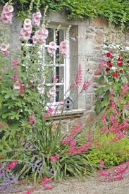 Soft Pink Hollyhocks Cottage Garden Design Cottage Garden Garden Styles