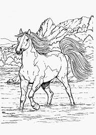 Il a évolué au cours des derniers 45 à 55 millions d'années à partir d'un petit mammifère possédant plusieurs doigts pour devenir le grand animal à sabot unique que l'on connait aujourd'hui. Coloriages A Imprimer Cheval Numero 919d37ed