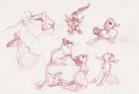 Starline Animal Sketches Animal Drawings Character Design Sketches