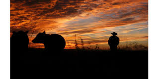 Each day this week a member of staff will be. Farm Bureau Initiative Focuses On Ag Safety Mental Health Awareness Morning Ag Clips