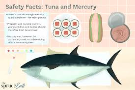 Health benefits associated with fish. How Much Tuna Is Safe To Eat