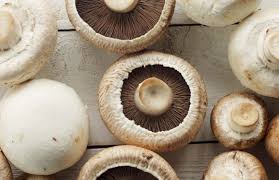 That slimy texture and off color mean that bacteria or fungi are growing on your mushrooms, and these dangerous microorganisms are causing them to decompose. Mushrooms 101 Meadow Mushrooms