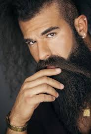 25 Männer bart-Ideen