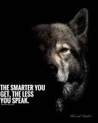Pin On True Quotes