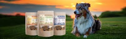 There are cbd oils and cbd treats for pets. Holistapet Linkedin