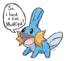 Do U Liek Mudkipz The Great Original Meme From The Mid 2000s Miscrave