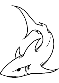 10+ dibujo aleta de tiburon. Dibujos De Tiburon Buscar Con Google Dibujo De Tiburon Dibujos Molones Dibujos