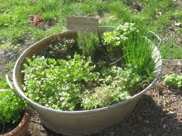 Krauterbeet Mit Bildern Zinkwanne Bepflanzen Krauterbeet Balkongarten