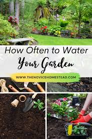 In general, water your flower garden once per week. Foolproof Way To Tell When Plants Need Water The Novice Homestead