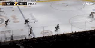 The washington capitals have acquired forward anthony mantha from the detroit red wings for forwards jakub vrana and richard panik, a 2021 first round pick and a 2022 second round pick The Evolution Of Shane Gersich Nova Caps