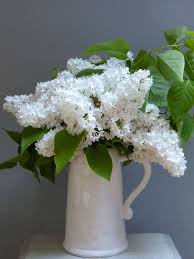 Le Temps Du Lilas La Porte Blanche Lilas Fleur Bouquet De Lilas Fleurs Printemps