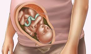 Pin On Baby