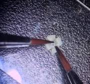 Video: Mouse Retina Isolation and Flattening