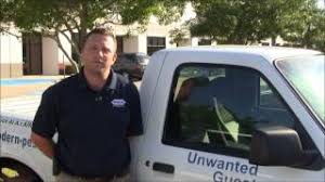 1110 east ave, katy 77493, tx, united states a. Modern Pest Control Inc 1110 East Ave Katy Tx 77493 281 561 0100