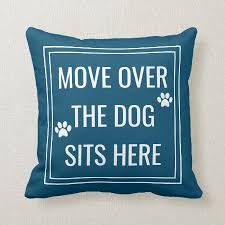 Pin On Accent Pillows