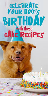 Shop By Category Ebay Dog Cakes Dog Birthday Cake Dog Food Recipes