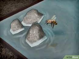 How to attract honey bees to my garden. How To Attract Honey Bees 11 Steps With Pictures Wikihow