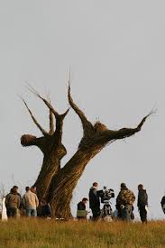 It was released through itunes on april 15, 2008, and was released the film contains many direct parallels and allusions to the 1973 film the wicker man, which was also directed by hardy.the wicker tree is. Film Review The Wicker Tree 2010 Hnn