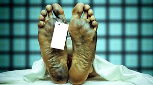 Image result for what happens when you die