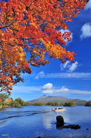Check spelling or type a new query. Halo Jepang Daun Gugur Menjelang Akhir Oktober Suasana Musim Gugur Di Jepang Makin Terasa Daun Daun Hijau Dari Musim Panas Mulai Berubah Warna Menjadi Kuning Oranye Dan Merah Daun Daun Indah Ini